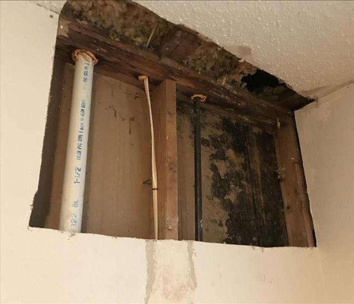 Mold growth behind dry wall.