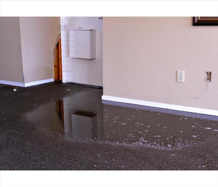 Wet carpet, standing water on carpet, water damage