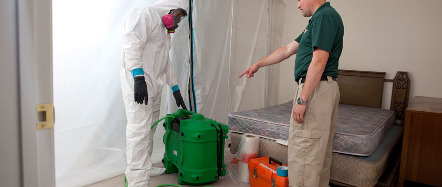 Round Rock, TX mold removal process